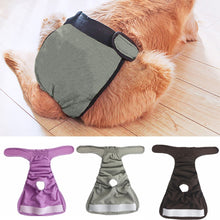 Load image into Gallery viewer, Dog Health  Pets Menstrual Physiological Pants Waterproof