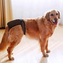 Load image into Gallery viewer, Dog Health  Pets Menstrual Physiological Pants Waterproof