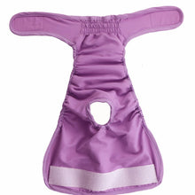 Load image into Gallery viewer, Dog Health  Pets Menstrual Physiological Pants Waterproof