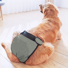 Load image into Gallery viewer, Dog Health  Pets Menstrual Physiological Pants Waterproof