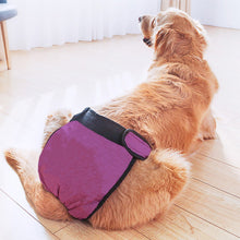 Load image into Gallery viewer, Dog Health  Pets Menstrual Physiological Pants Waterproof