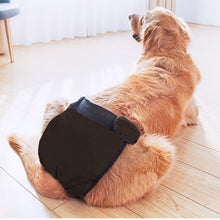 Load image into Gallery viewer, Dog Health  Pets Menstrual Physiological Pants Waterproof