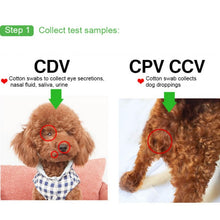 Load image into Gallery viewer, Pet Medical Supplies Cdv Test Canine Hot Fast Test Dog Health Care Products Pet
