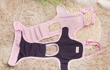 Load image into Gallery viewer, Dog Health  Pets Menstrual Physiological Pet Safety Breathable Physiology Pants