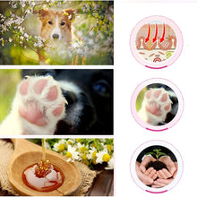 Load image into Gallery viewer, Paw Care Creams Puppy Dog Cat Paw Care Cream Moisturizing Protection Forefoot Toe Health