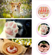 Load image into Gallery viewer, Paw Care Creams Puppy Dog Cat Paw Care Cream Moisturizing Protection Forefoot Toe Health