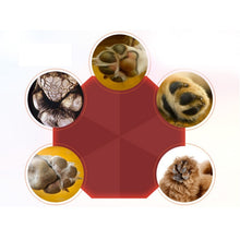 Load image into Gallery viewer, Paw Care Creams Puppy Dog Cat Paw Care Cream Moisturizing Protection Forefoot Toe Health